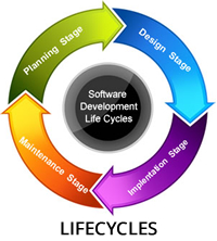 lifecycles-2015