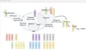 Process Map / Test Strategies