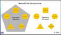 Monoliths vs Microservices